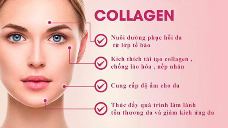 top sản phẩm collagen