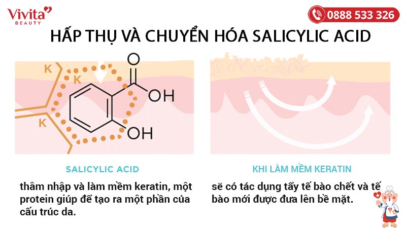 hấp thụ chuyển hóa Salicylic Acid